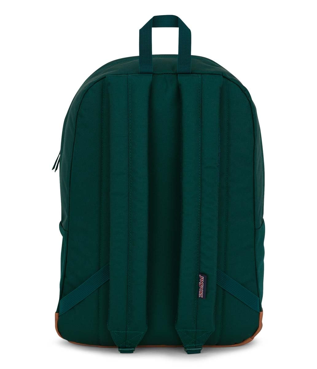 JanSport Cortlandt Laptop Backpack, Misty Rose, 15” Laptop Sleeve-Synthetic Leather Shoulder Computer Bag with Large Compartment, Padded Straps-Book Rucksack for Men, Women