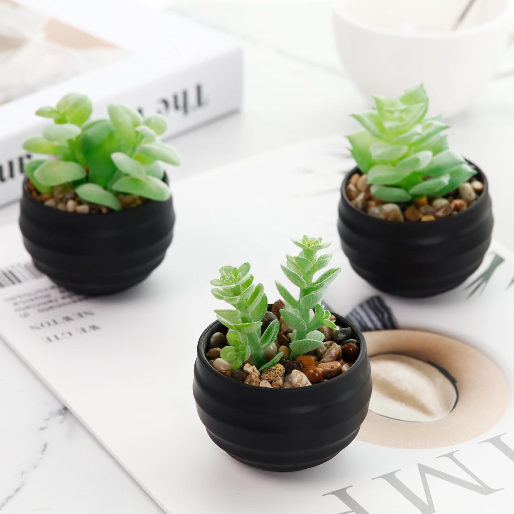 Der Rose 6 Pack Succulents Fake Plants for Bedroom Bathroom Home Decor | Small fake plants，perfect for aesthetic living room shelf decor，office desk accessories，gifts for women，fresh all year