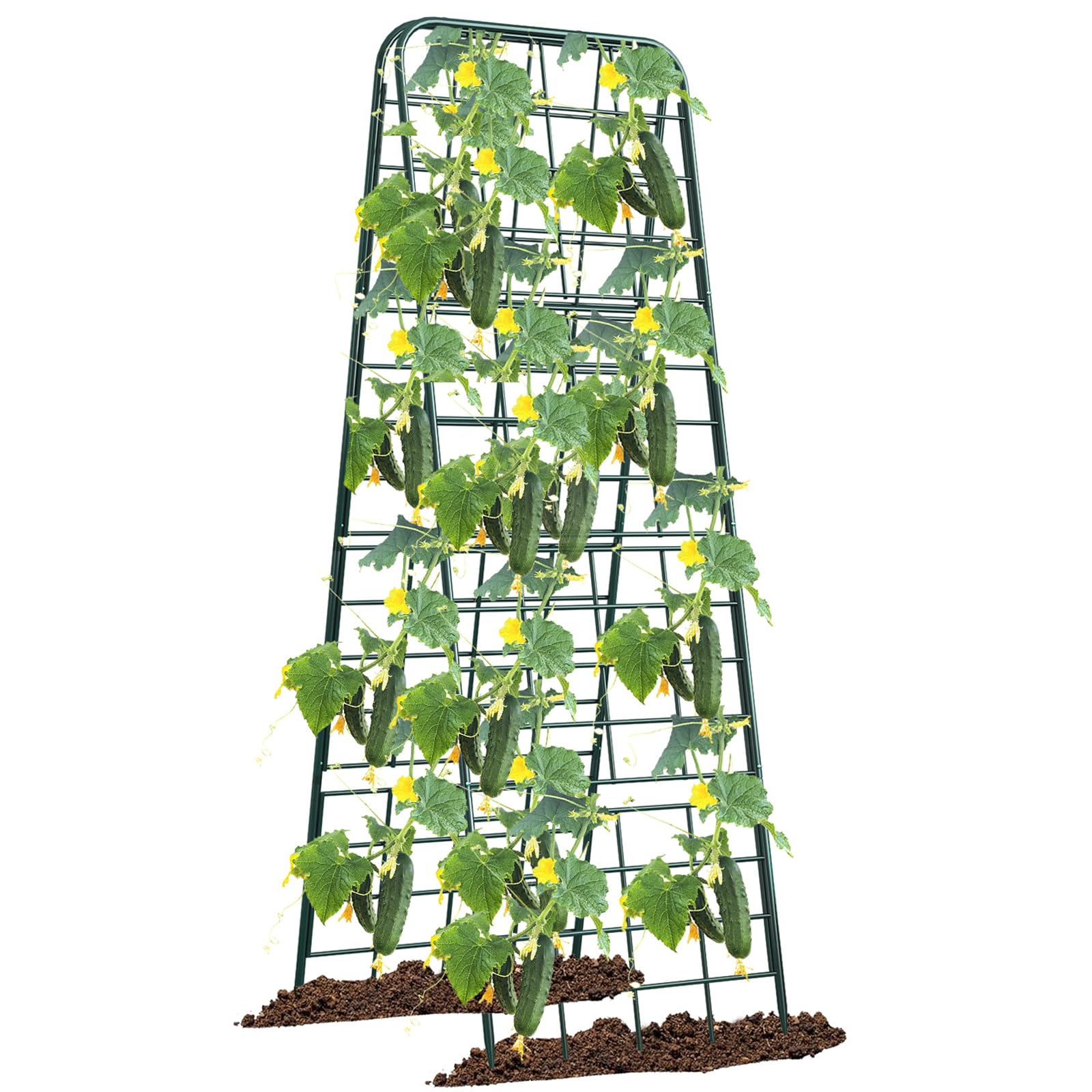 Heavy Duty 50"x17" Adjustable A-Frame Trellis for Climbing Plants – Rust-Proof Metal Garden Trellis with Dense Grid Design, Perfect for Raised Beds, Tomatoes, Cucumbers & Outdoor Vines (Black, 2 Pcs)