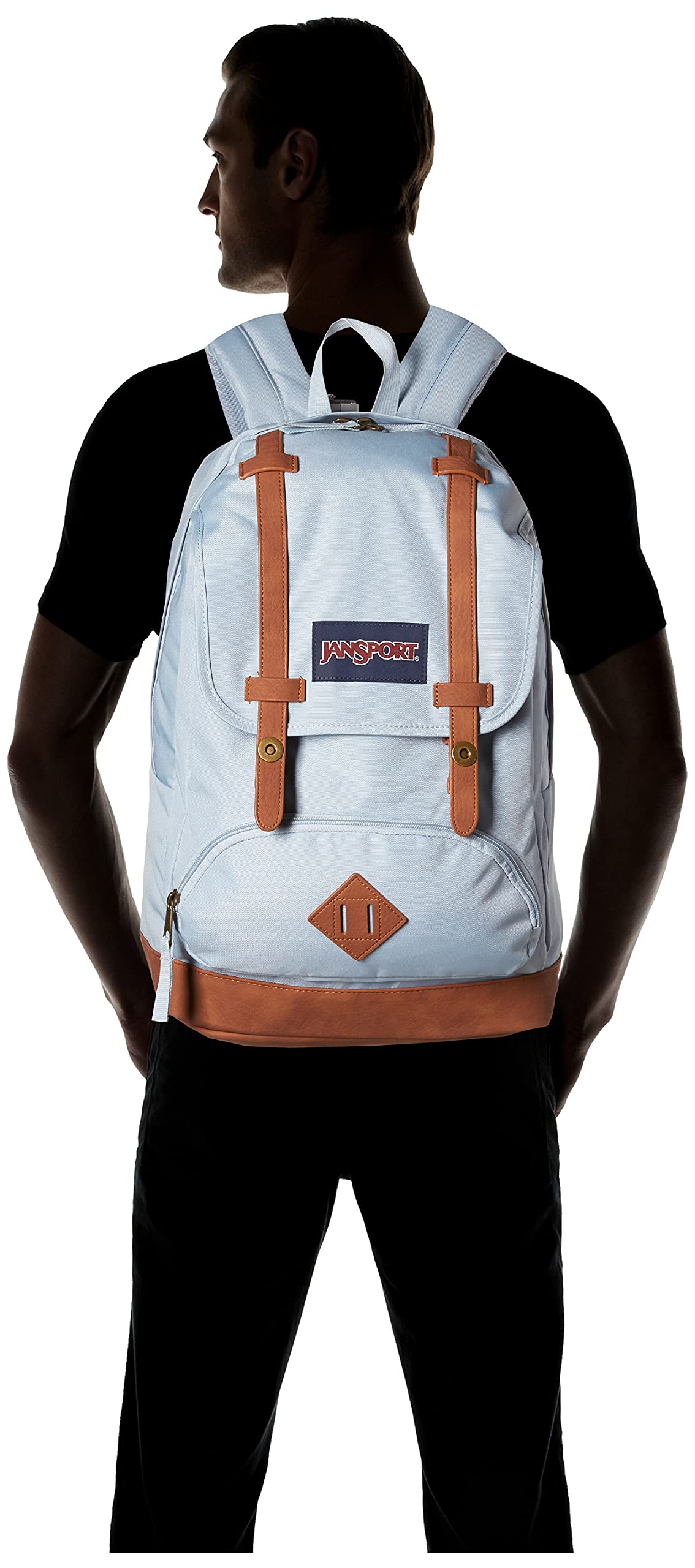 JanSport Cortlandt Laptop Backpack, Misty Rose, 15” Laptop Sleeve-Synthetic Leather Shoulder Computer Bag with Large Compartment, Padded Straps-Book Rucksack for Men, Women
