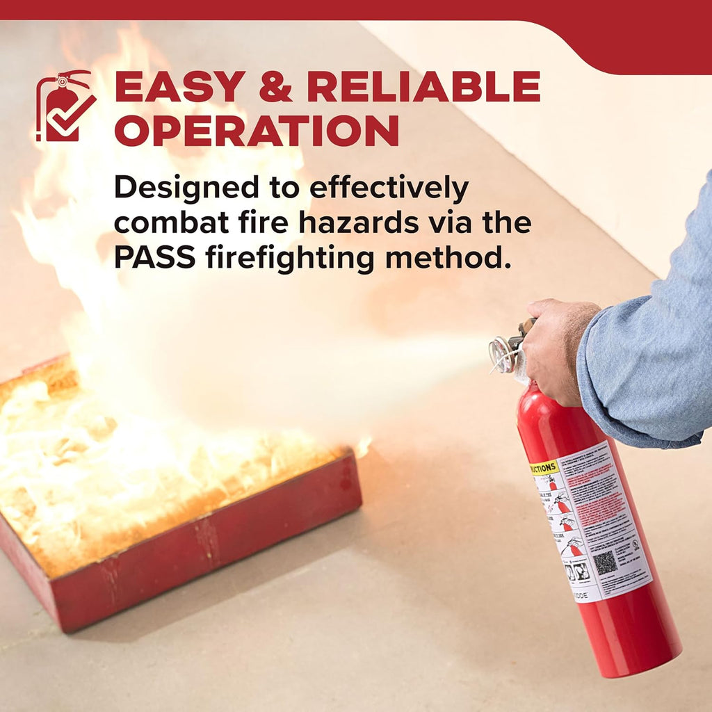 Kidde Basic 110 Fire Extinguisher for Home, 1-A:10-B:C, FA110G, 1 Pack | Residential Multi-Purpose Extinguisher for Small Common Household Fires, 2.5 lb. Dry Chemical