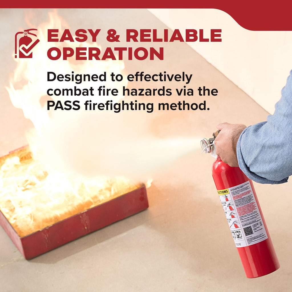 Kidde Basic 110 Fire Extinguisher for Home, 1-A:10-B:C, FA110G, 1 Pack | Residential Multi-Purpose Extinguisher for Small Common Household Fires, 2.5 lb. Dry Chemical