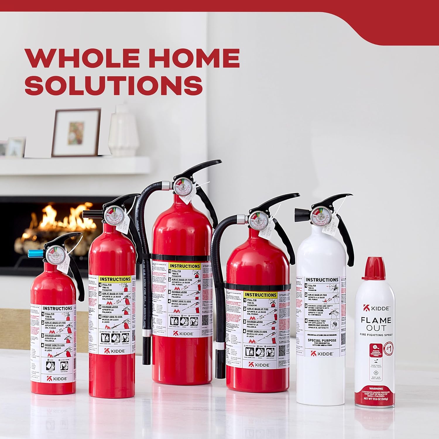 Kidde Basic 110 Fire Extinguisher for Home, 1-A:10-B:C, FA110G, 1 Pack | Residential Multi-Purpose Extinguisher for Small Common Household Fires, 2.5 lb. Dry Chemical