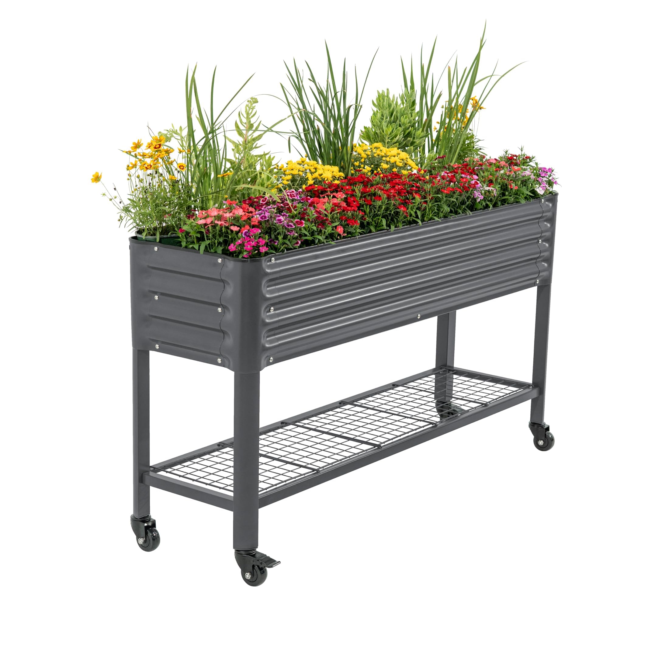 Rolling Elevated Raised Garden Bed, 2' x 4' Outdoor Planters Boxes with Legs & Storage Rack for Patio, 700 Lbs Weight Capacity, Raised Beds for Gardening Herbs Flowers, Pearl White