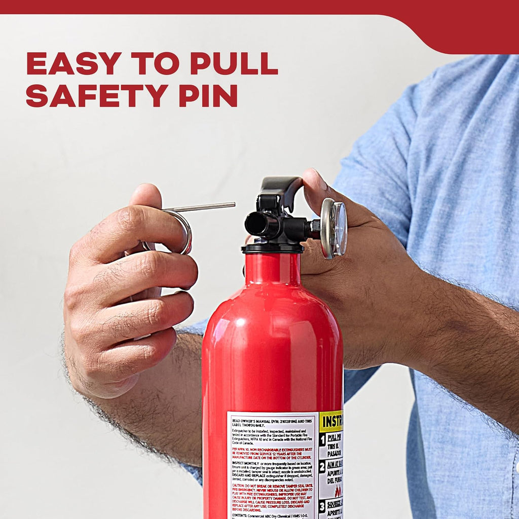 Kidde Basic 110 Fire Extinguisher for Home, 1-A:10-B:C, FA110G, 1 Pack | Residential Multi-Purpose Extinguisher for Small Common Household Fires, 2.5 lb. Dry Chemical