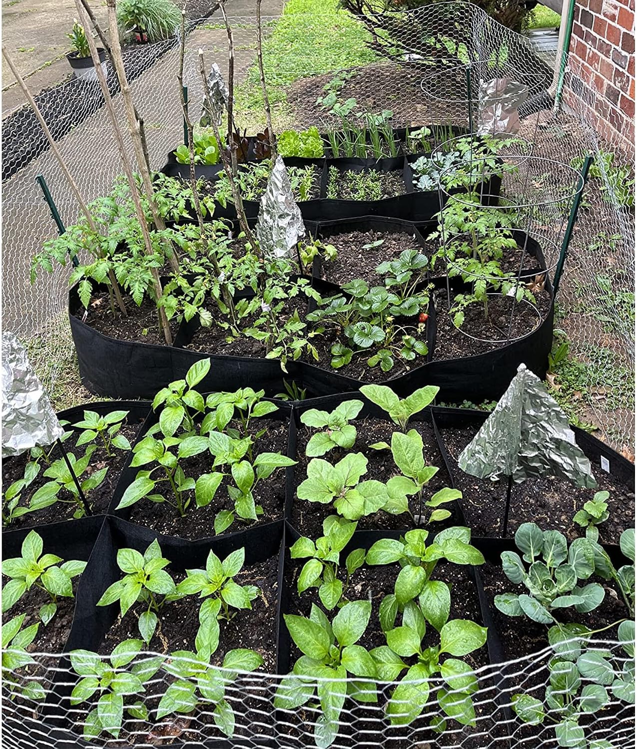 CJGQ Fabric Raised Garden Bed 6x3x1ft Garden Grow Bed Bags for Growing Herbs, Flowers and Vegetables 128 Gallon